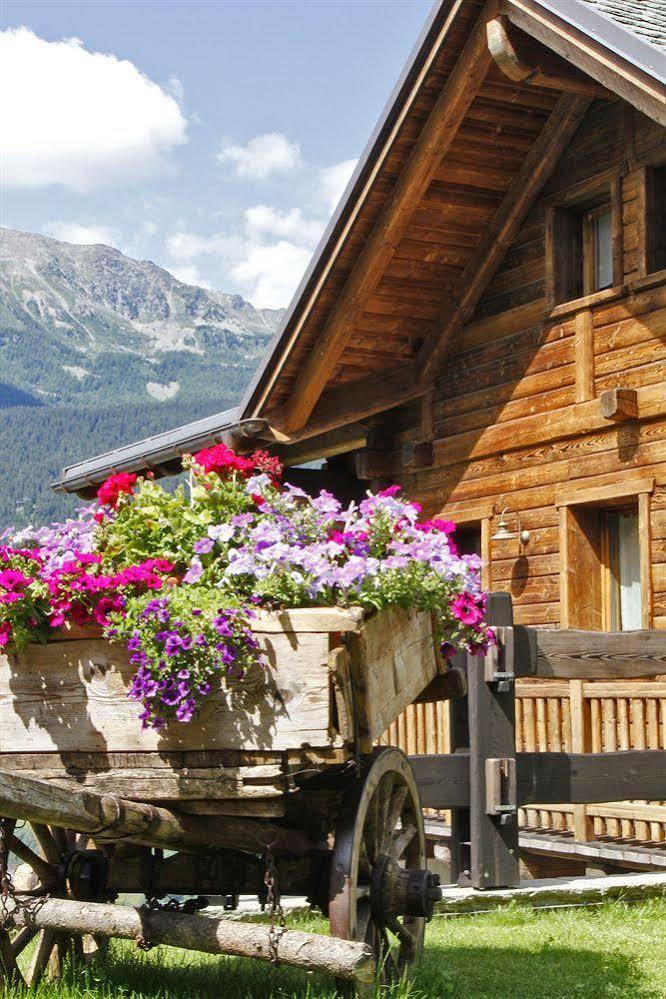 Chalet Teo E Marianna Bormio Zewnętrze zdjęcie