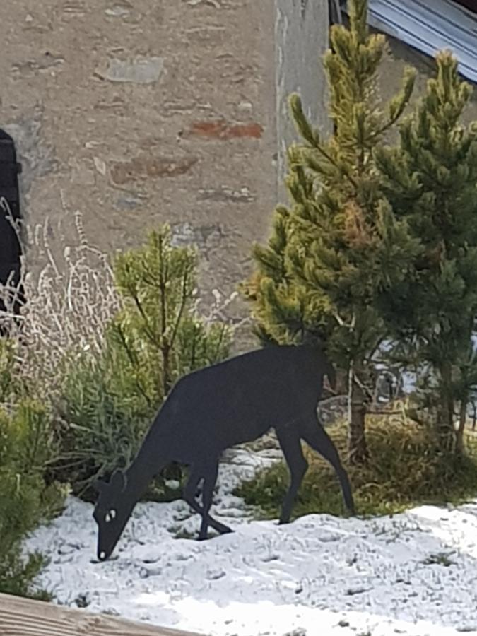 Chalet Teo E Marianna Bormio Zewnętrze zdjęcie